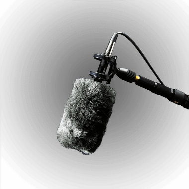 Audio-Technica microfono shotgun con deadcat antivento